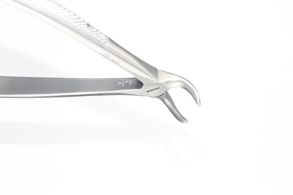 LOWER MOLARS WITH DECAYED OR BROCKEN DOWN CROWNS FIG.87 (COD.1000-32)