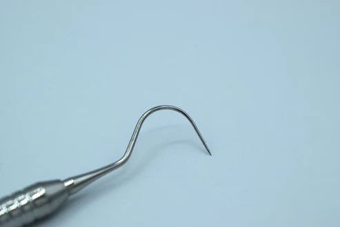 Probe N.23 (Cod. 1010-15)