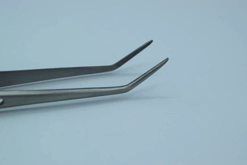 Tweezer College (Cod. 1012-12)