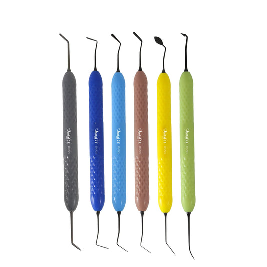 Composite Restorative Filling Instruments Set of 06 (Black Points) with box (1017-21)
