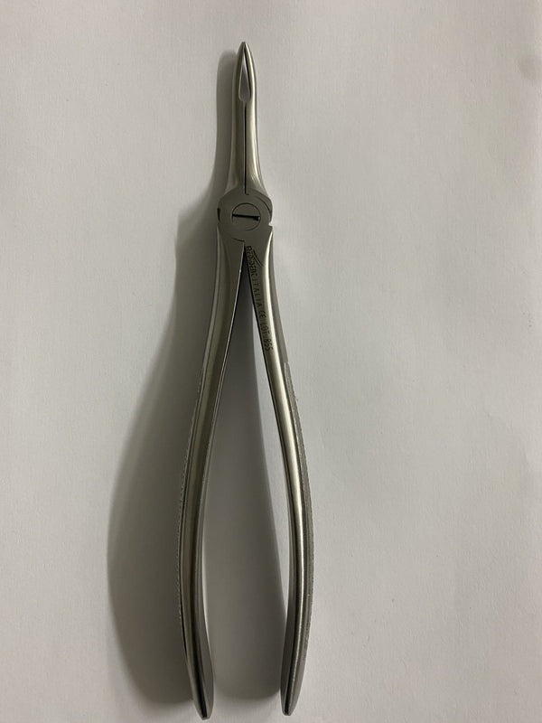 FIG 44 UPPER ROOTS (Cod. 1000-43)