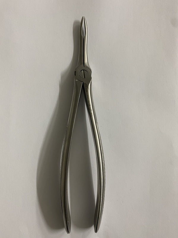 FIG 49 UPPER ROOTS (Cod. 1000-42)