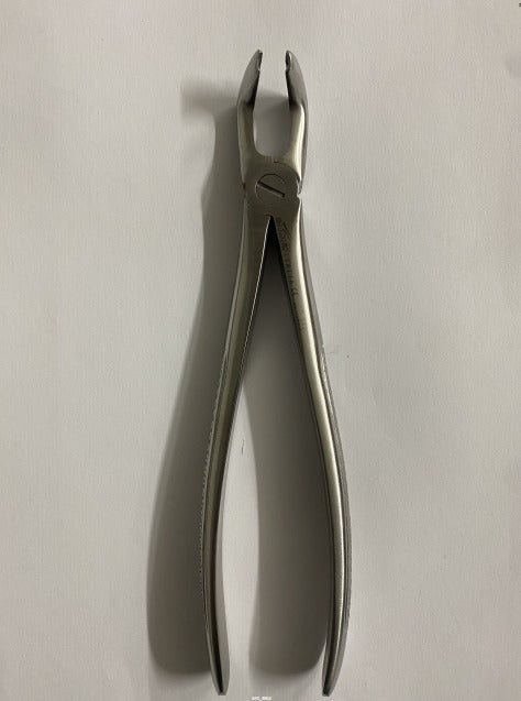 FIG 79A LOWER THIRD MOLARS (Cod. 1000-40)