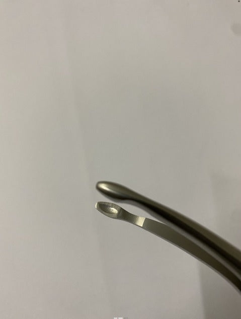 FRAGMENTS LOWER ROOTS (COD.1000-47)