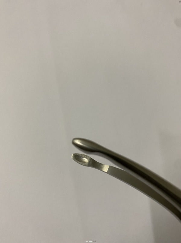 FRAGMENTS UPPER ROOTS FIG.190 (Cod. 1000-46)