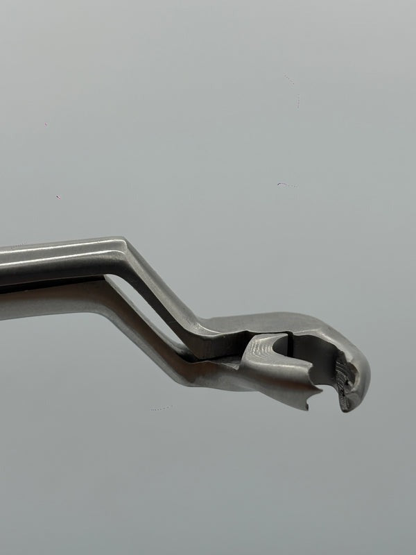 LOWER MOLARS AND LOWER THIRD MOLARS RIGHT FIG 22R (Cod. 1000-19)