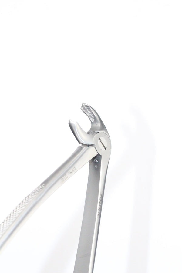 LOWER MOLARS FIG 22 (Cod. 1000-17)