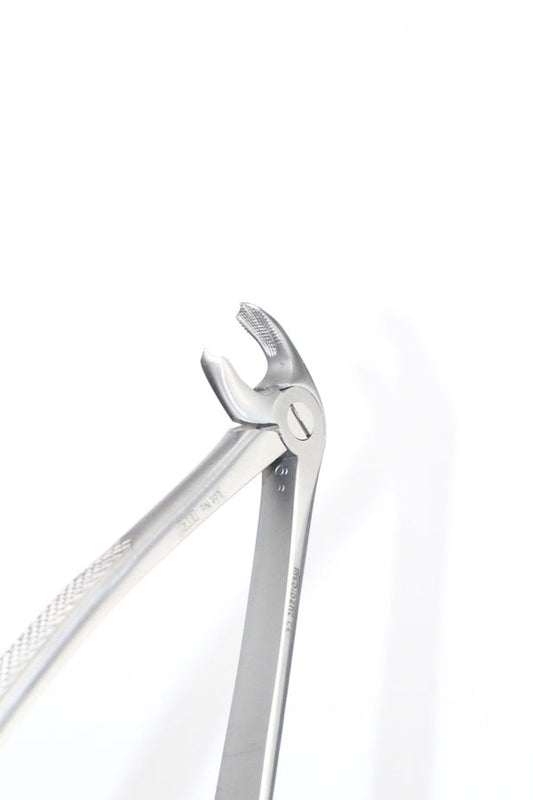 LOWER MOLARS FIG 22 (Cod. 1000-17)