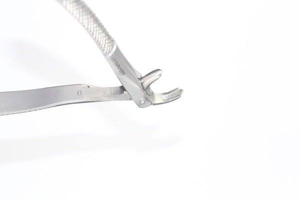 LOWER MOLARS FIG 73 (Cod. 1000-28)