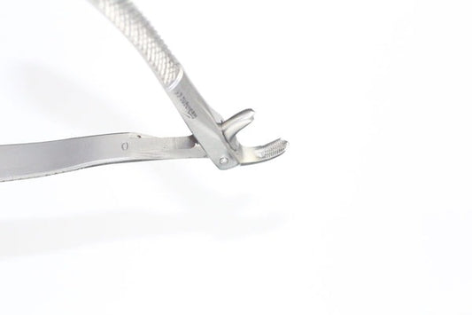 LOWER MOLARS FIG 73 (Cod. 1000-28)