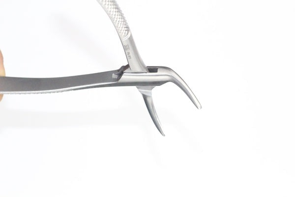 LOWER ROOTS FIG 120.01(Cod. 1000-33)