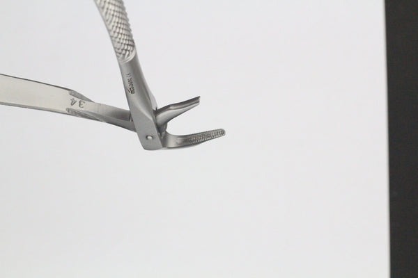 LOWER ROOTS FIG 185A (Cod. 1000-36)