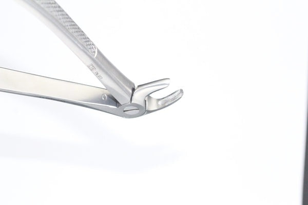 LOWER ROOTS FIG 33L (Cod. 1000-22)