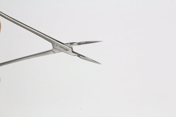 STIEGLITZ ROOT FRAGMENTS (Cod.1000-1)