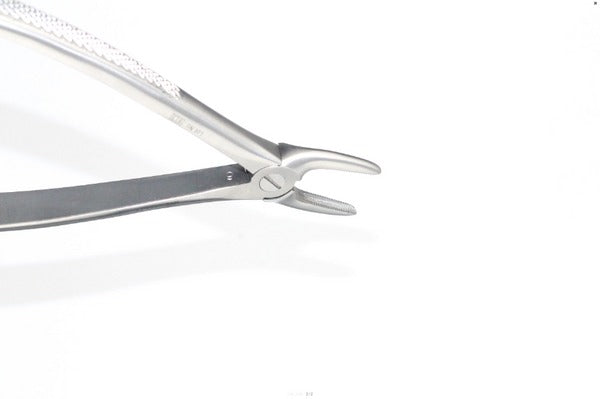 UPPER ROOTS FIG 29 (Cod. 1000-20)