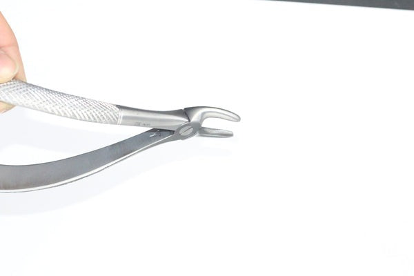 UPPER ROOTS FIG 30 (Cod. 1000-35)