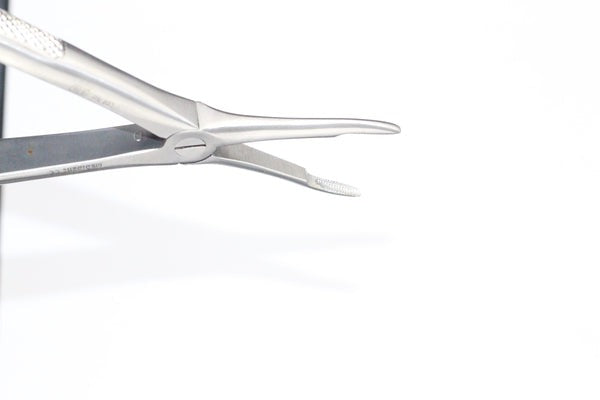 UPPER ROOTS FIG 41 (Cod. 1000-23)