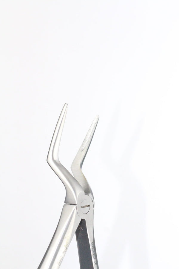 UPPER ROOTS FIG 51L (Cod. 1000-25)