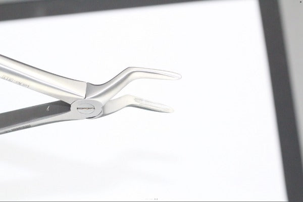 UPPER ROOTS FIG 51 (Cod. 1000-24)