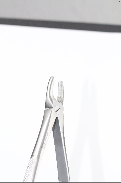 UPPER LATERALS AND CANINES FIG 2 (Cod. 1000-10)