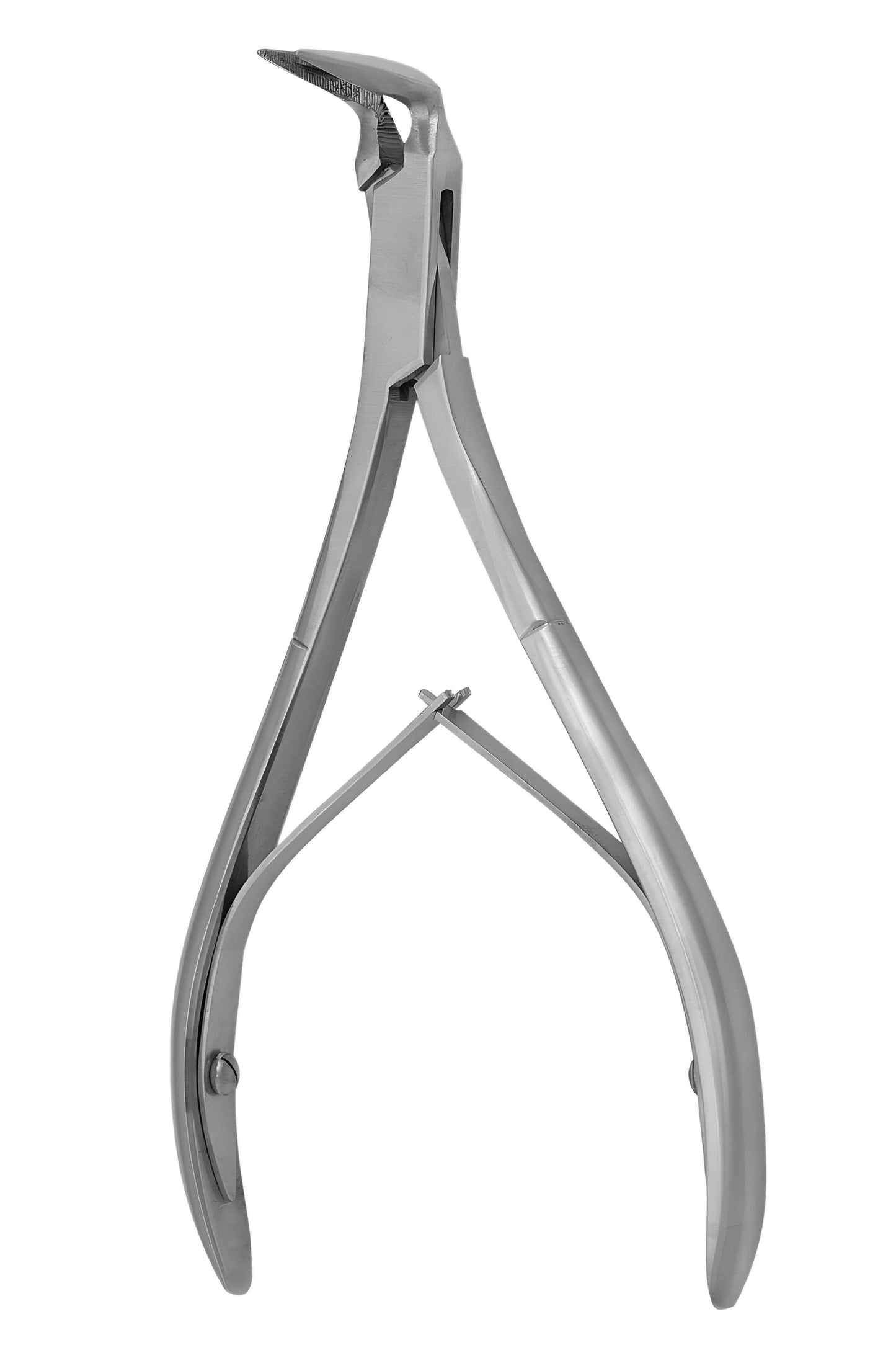 Stieglitz root fragment curved 90 degree (Cod.1000-1D)