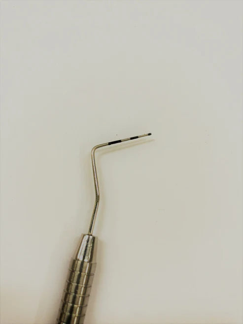 CP-C (Cod. 1016-8)