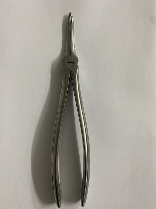 FIG 44 UPPER ROOTS (Cod. 1000-43)