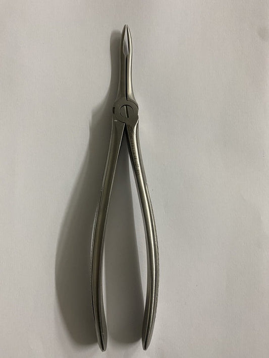 FIG 49 UPPER ROOTS (Cod. 1000-42)