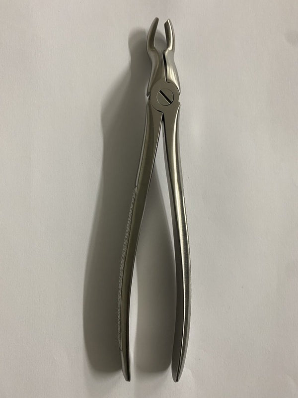 FIG 67 UPPER THIRD MOLARS AND UPPER WIDSOMS EITHER SIDE (Cod. 1000-39)