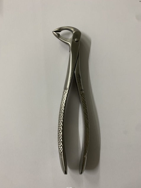 FRAGMENTS LOWER ROOTS (COD.1000-47)