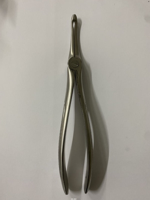 FRAGMENTS UPPER ROOTS FIG.190 (Cod. 1000-46)