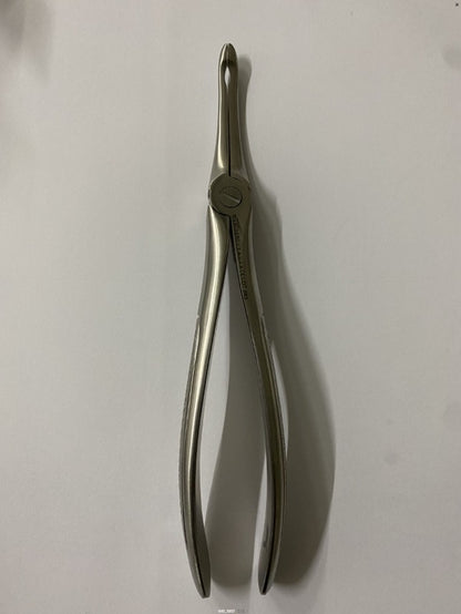 FRAMMENTI RADICI SUPERIORI FIG.190 (Cod. 1000-46)