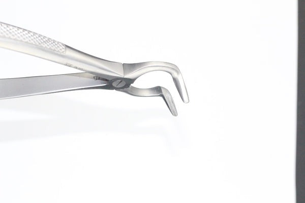 LOOR ROOTS FIG 68 (Cod. 1000-27)