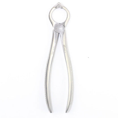 LOOR ROOTS FIG 68 (Cod. 1000-27)