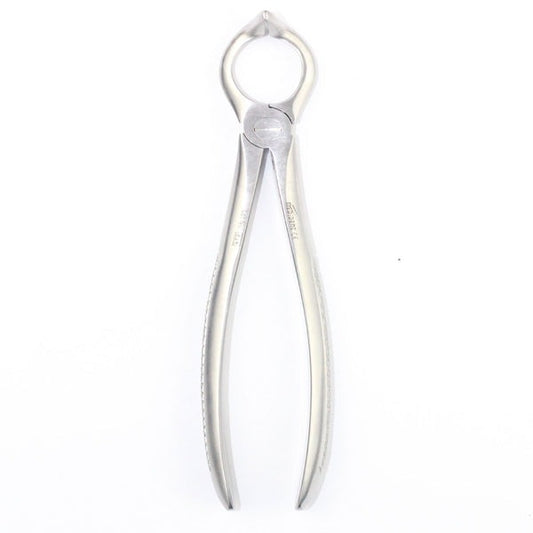 LOOR ROOTS FIG 68 (Cod. 1000-27)