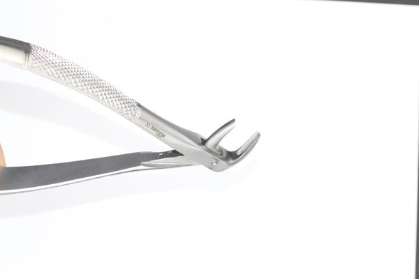 LOWER CANIES AND PREMOLARES FIG 75 (Cod. 1000-30)