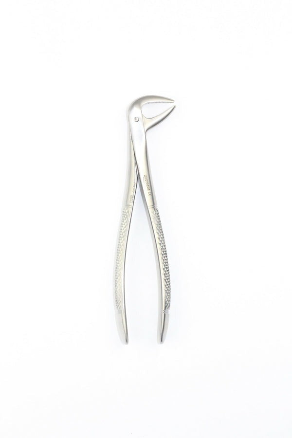 LOWER CANIES AND PREMOLARES FIG 75 (Cod. 1000-30)