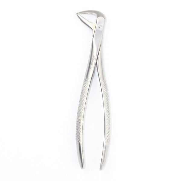 LOWER CANIES AND ROOTS FIG 74 (Cod. 1000-29)