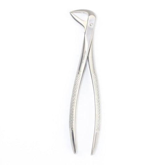 LOWER CANIES AND ROOTS FIG 74 (Cod. 1000-29)