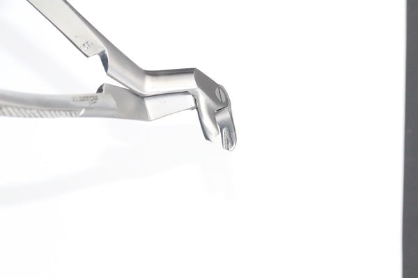 LOWER MOLARS AND LOWER THIRD MOLARS LEFT FIG 22L (Cod. 1000-18)