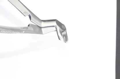 LOWER MOLARS AND LOWER THIRD MOLARS LEFT FIG 22L (Cod. 1000-18)
