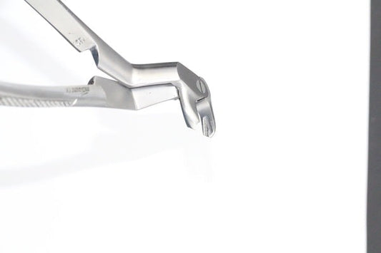 LOWER MOLARS AND LOWER THIRD MOLARS LEFT FIG 22L (Cod. 1000-18)