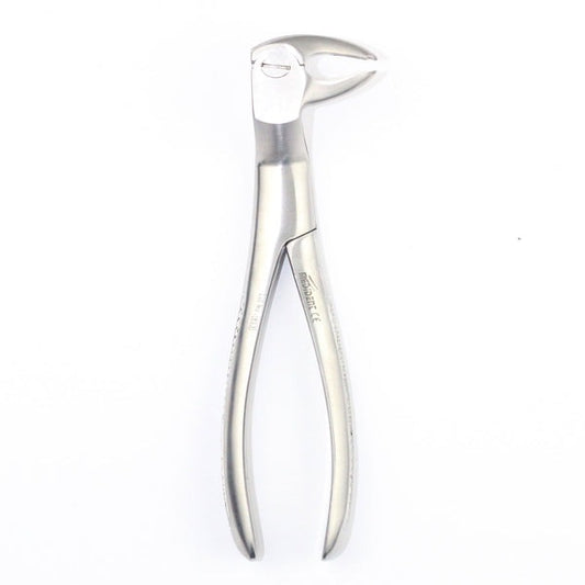 LOWER MOLARS AND LOWER THIRD MOLARS LEFT FIG 22L (Cod. 1000-18)