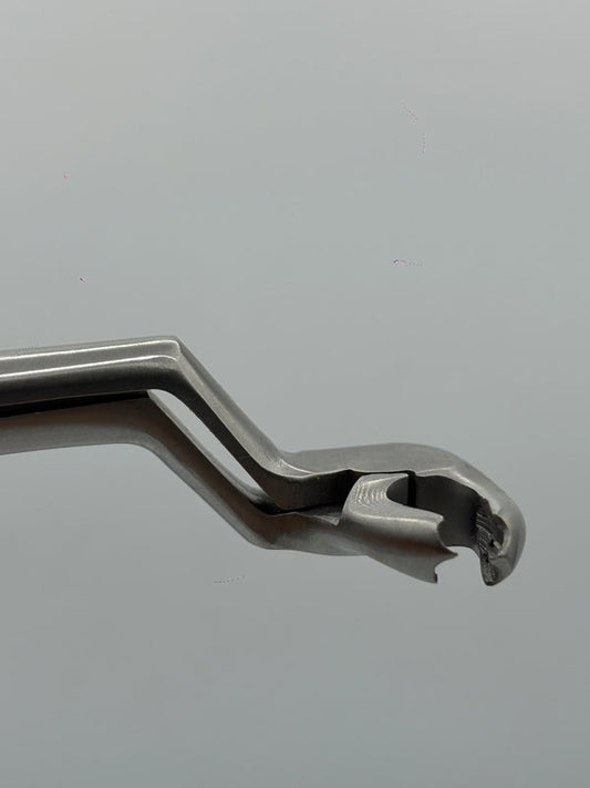 LOWER MOLARS AND LOWER THIRD MOLARS RIGHT FIG 22R (Cod. 1000-19)