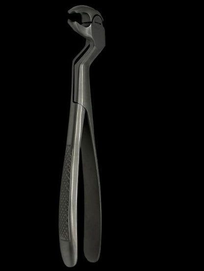 LOWER MOLARS AND LOWER THIRD MOLARS RIGHT FIG 22R (Cod. 1000-19)
