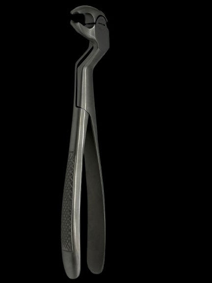 LOWER MOLARS AND LOWER THIRD MOLARS RIGHT FIG 22R (Cod. 1000-19)