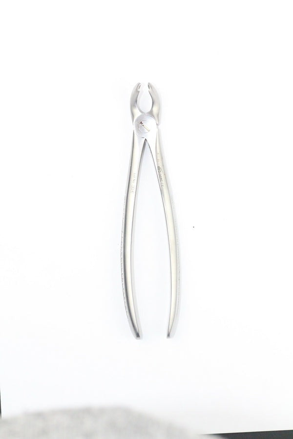 LOWER MOLARS FIG 21 (Cod. 1000-16)