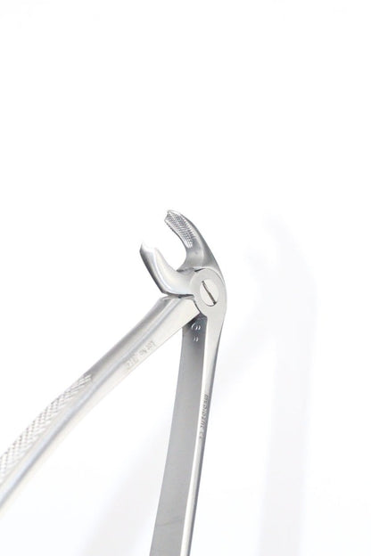 LOWER MOLARS FIG 22 (Cod. 1000-17)