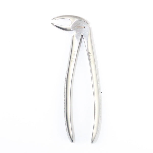 LOWER MOLARS FIG 22 (Cod. 1000-17)