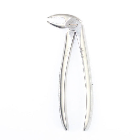 LOWER MOLARS FIG 22 (Cod. 1000-17)